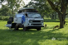 VW-T3-Syncro-Vanagon-Uganda-Ziwa-Rhino-Sanctuary