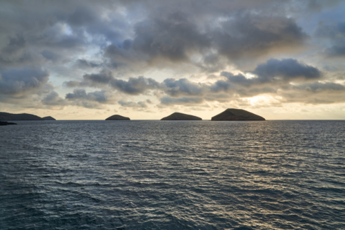 Insel mit Aussicht, North Seymour, Galápagos, Ecuador 2019