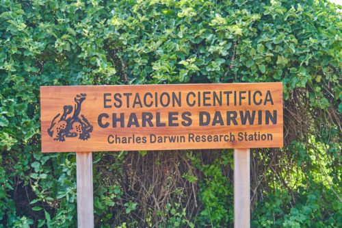 Charles Darwin Station, Santa Cruz, Galápagos, Ecuador 2019